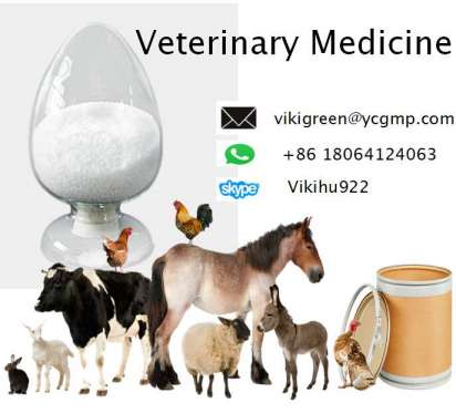 High Quality Veterinary Medicine Powder Florfenicol 73231-34-2 